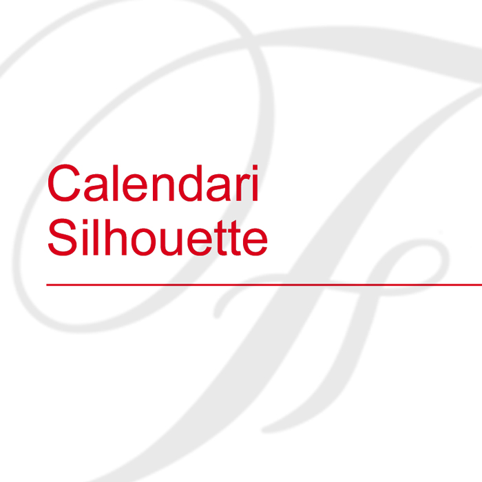 Calendari Silhouette 2025