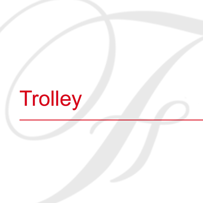 Trolley e Borse