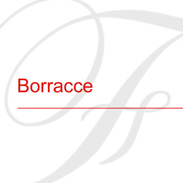 Boracce